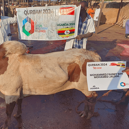 qurban2024-2